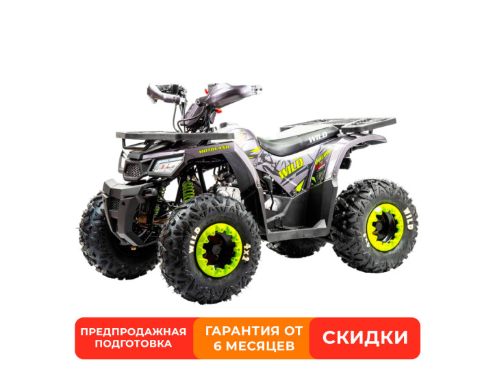 MOTOLAND WILD 125 цв. серый